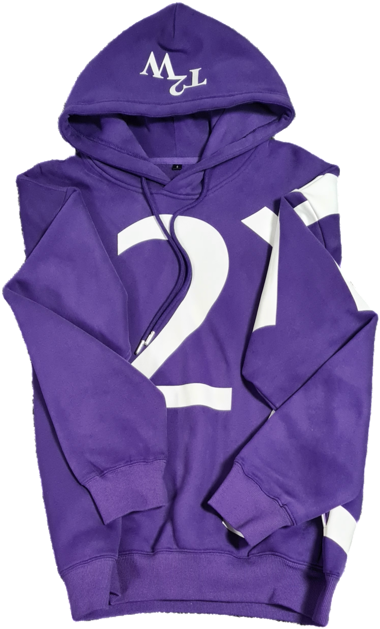 T 2 W Hoodie